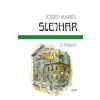 Z Prahy - Josef Karel Šlejhar
