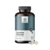 HealthyWorld® Candida Cleanse + 2 mikrobiologické kultúry, zinok, Variant • Produkt 1ks