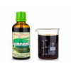 Gymnema (Gurmár)- bylinné kapky (tinktura) 50 ml - doplněk stravy