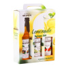 MONIN Lemonade Syrups Set 3x0,25l