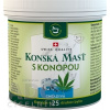 Herbamedicus GmbH KONSKÁ MASŤ S KONOPOU CHLADIVÁ - 1x250 ml
