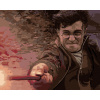 Maľovanie podľa čísel Harry Potter v súboji s Voldemortom, 40x50 cm, bez rámu a bez vypnutia plátna (6066650)