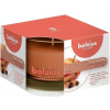 Sviečka bolsius Jar True Scents 95/95 mm, škorica/jablko