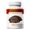 MycoMedica Coriolus 40% 90 kapslí