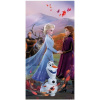 Jerry Fabrics Osuška Frozen 2 Wind 70x140 cm