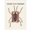 Proměna / Metamorphosis - Franz Kafka