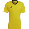 adidas Teamsport Entrada 22 žlutá/černá UK