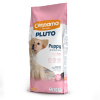 Pluto Dog Puppy 15 kg