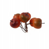 Dekoratívne jablko, 6 ks X7533