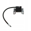 CIEVKA MODUL PRE Bandamp;S BRIGGS SÉRIE 600 590454
