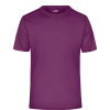 James & Nicholson | JN 358, Pánske žerzejové športové tričko, fialová purple, L