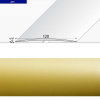 PRECHODOVY PROFIL ZLATO A73