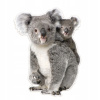 Mäkká plyšová nálepka na stenu koala 105 cm (Mäkká plyšová nálepka na stenu koala 105 cm)