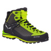 Salewa MS Crow GTX zelené