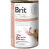 Brit Veterinary Diets GF dog Renal 400 g