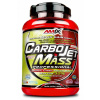 AMIX CarboJet Mass Pro 3000 g Príchuť: Vanilka
