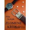 Zlomené křídlo - Filip Koleják