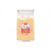Yankee Candle Slopeside Spritz Signature 567 g