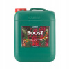 CANNA BOOST 10L CannaBoost stimulátor kvitnutia (CANNA BOOST 10L CannaBoost stimulátor kvitnutia)