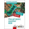 Matematika s nadhledem od prváku k maturitě 1 - Číselné obory, množiny - Pavel Tlustý, Eduard Fuchs