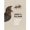 Cvrček mého krbu - Šlejhar Josef K