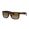 Ray-Ban RB 4165 865/T5 JUSTIN