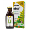 Salus Floradix Gallexier 250 ml
