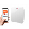 Ovládač BarON ZIGBEE + Bluetooth WiFi