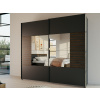 Šatníková skriňa so zrkadlom Barea, 226 cm, tmavo šedá/dub atlantic