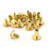 BRISA Chicago Screws ⌀10,7-L14mm Brass - 10pcs