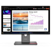 LENOVO ThinkVision P24Q-40 (64B2GAT1EU) 23,8