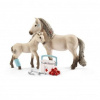 Islandský kôň a prvej pomoci Kit, Schleich (Islandský kôň a prvej pomoci Kit, Schleich)