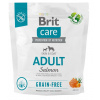 Brit Care Grain-free Adult Salmon & Potato 1kg