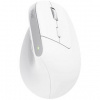 Trust Bayo+ Multidevice Ergonomic Wireless Mouse 25399
