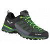 Low Salewa MTN Trainer Trekking Shoes 44.5 (SALEWA MTN Trainer Lite GTX Myrtle/Blue-44,5 topánky)