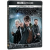 Fantastická zvířata: Grindelwaldovy zločiny 4K Ultra HD BD