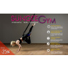 Bungee Gym set - bungee dance, fitness.