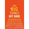 How Big Things Get Done