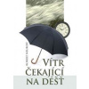 Vítr čekající na déšť - Neubert Robert