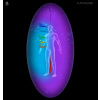 Měření a focení aury a čaker přístrojem Aura Cloud 3D Pro (- získejte okamžitý biofeedback o stavu vaší aury)