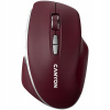 Canyon CNS-CMSW21BR