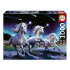 Puzzle Shooting Stars Anne Stokes Educa 1000 dielov a Fix lepidlo