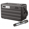 Prenosný bateriový systém pre mobilné aplikácie * BT/WPS * USB/microSD/MP3 * 1x bezdrôt. MIC