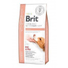 Brit VD Dog GF Renal 12kg