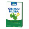 Vitar Revital Ginkgo Biloba Forte 60 kapsúl