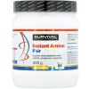 SURVIVAL Instant Amino ananás 400 g
