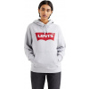 Levi's Graphic Standard Hoodie