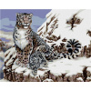Maľovanie podľa čísel – Leopard snežný s mláďaťom (Howard Robinson), 80 × 100 cm, bez rámu a bez napnutia plátna 8596530059783