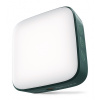 Newell Campina NL3805