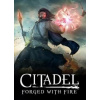 Citadel: Forged with Fire